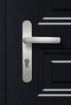 Fortia Porte d'entrée acier Mamaia 96 x h.218 cm poussant gauche- Porte D'Entrée