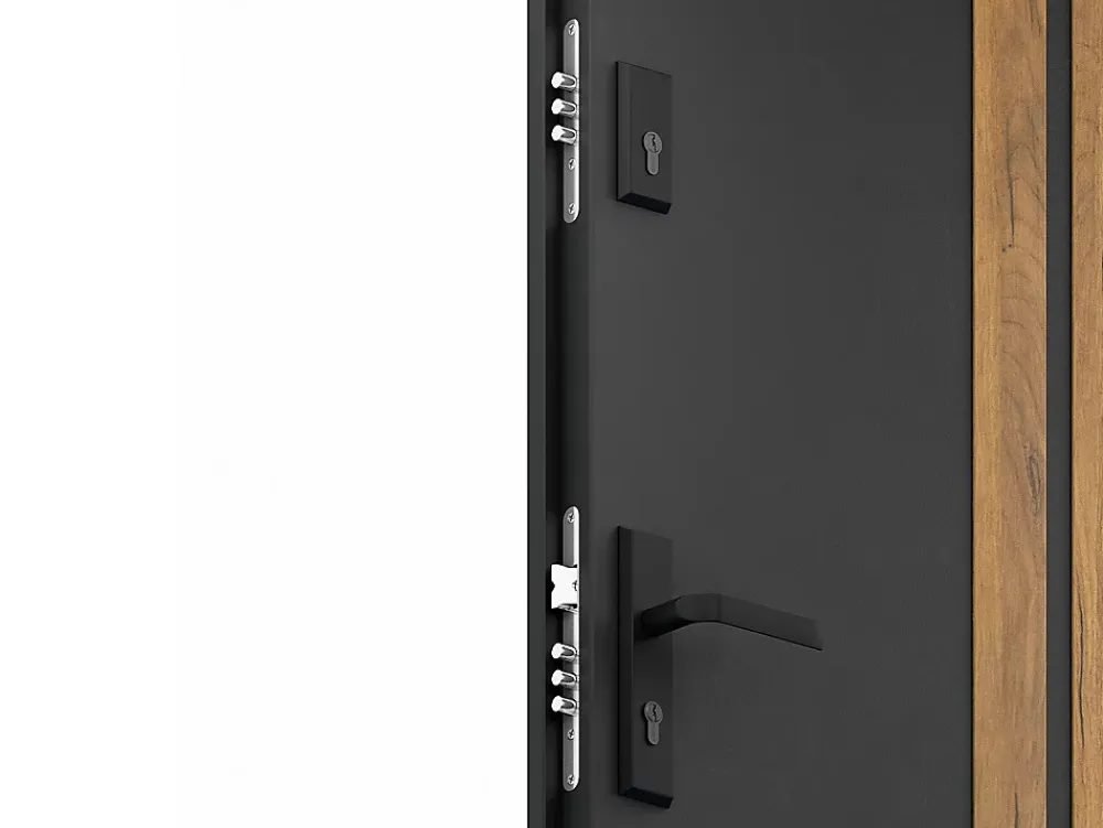 Vente-unique Porte d'entrée pleine en acier H207 x L100 cm - Noir avec rayures effet chêne - épaisseur 55 mm - poussant droit - COBRITA- Porte D'Entrée