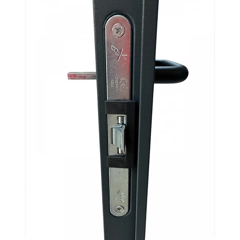 4M Porte De Service<Porte Métallique Industrielle De Service Isolée Réversible L1000 H2050 RAL7016 En Applique