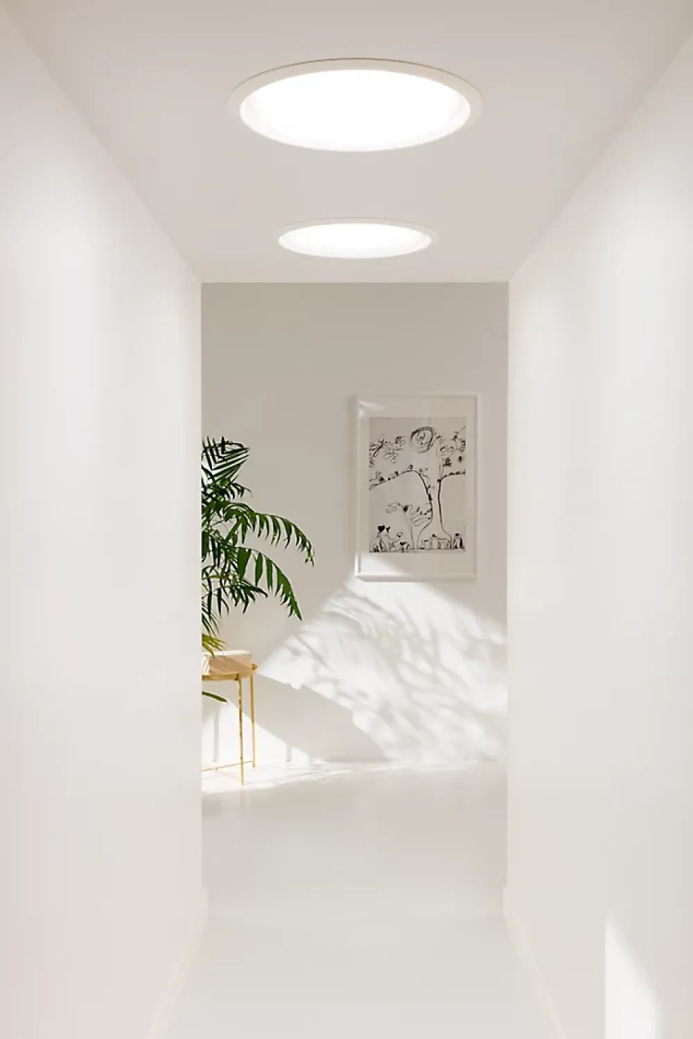 Velux Puits De Lumière<Puit de lumière rigide pour ardoise