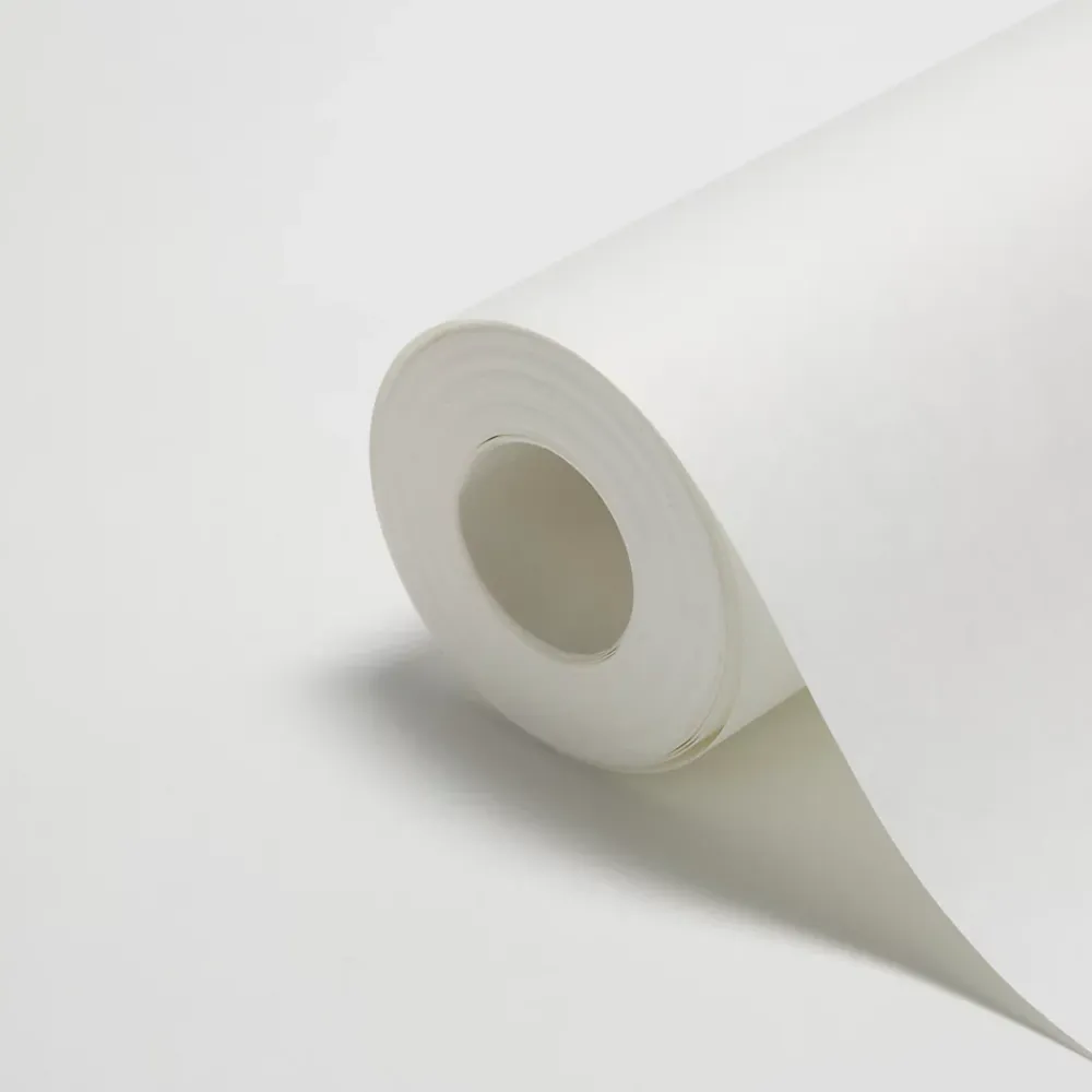 Diall Fibre De Verre<Revêment de rénovation sur intissé blanc 50m 120g/m²