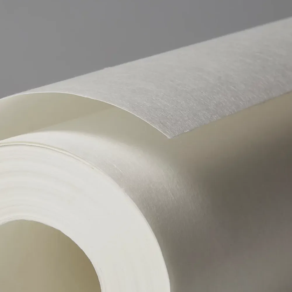 Diall Fibre De Verre<Revêment de rénovation sur intissé blanc 50m 120g/m²