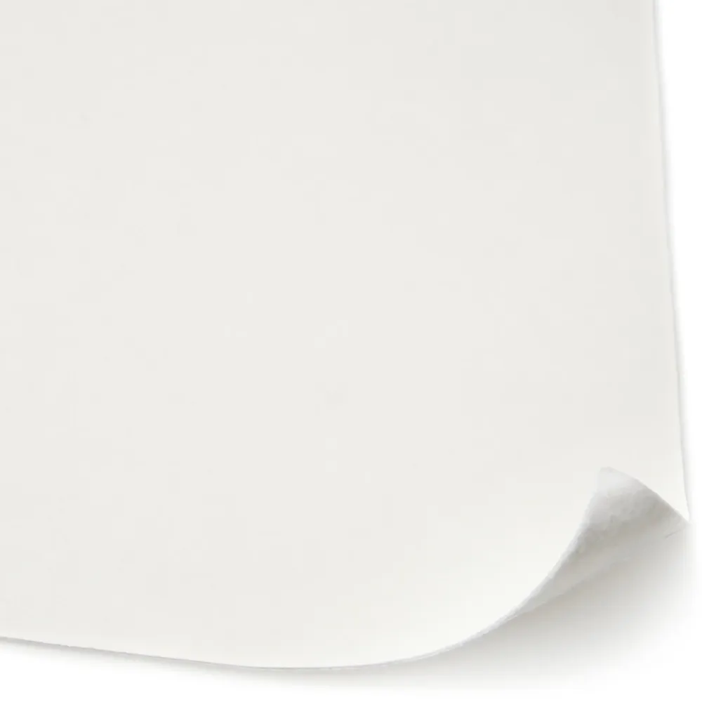 Diall Fibre De Verre<Revêtement de rénovation lisse à peindre thermique 300g/m² L.10 m (Vendu au rouleau)