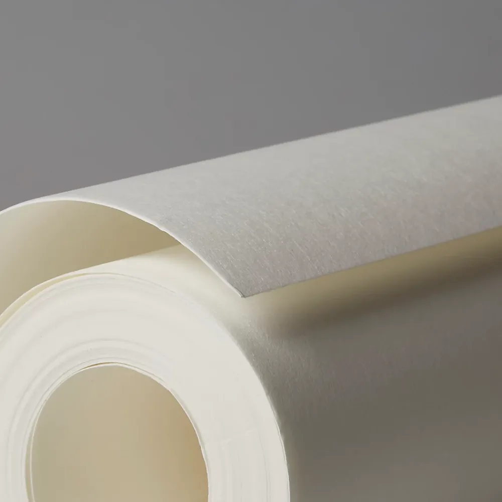 Diall Fibre De Verre<Revêtement de rénovation lisse prépeint 160g/m² L.15 m (Vendu au rouleau)