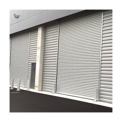 4M Porte De Garage Enroulable<Rideau Métallique Blanc RAL9010 Motorisé 220V Lames Pleines 7/10ème L2500 H3000 CLASSIC