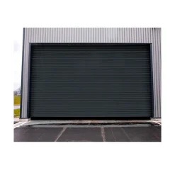 4M Porte De Garage Enroulable<Rideau Métallique Gris RAL7016 Motorisé 220V Lames Pleines 9/10ème L5500 H2000 PREMIUM