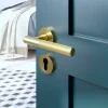 GoodHome Rosace de fonction rond à visser Duod effet laiton satin or Ø50mm- Poignée De Porte