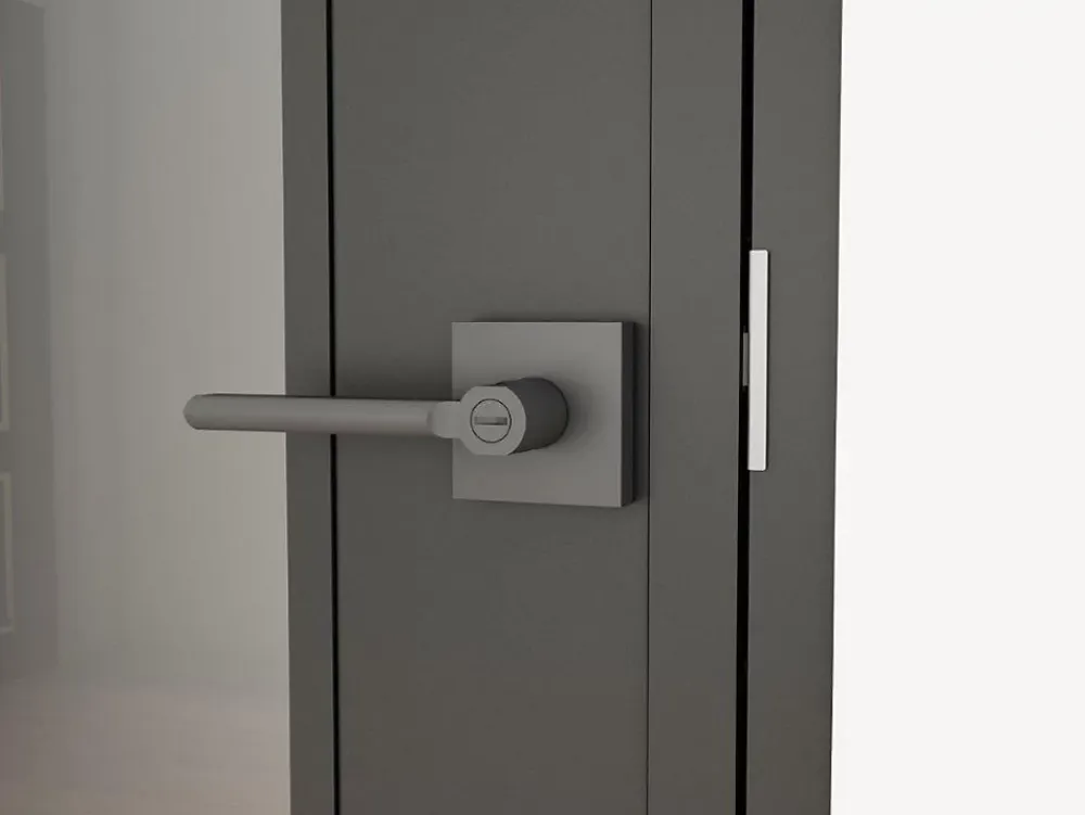 Schulte Porte intérieure en verre - 83x 211 cm- atelier - transparent - 3 rayures- gauche serrure- Bloc Porte