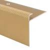 Floordirekt Seuil d'escalier Safety Forme: F Aluminium anodisé Or élégant M 100 cm- Profilé De Rénovation De Marche