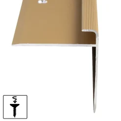 Floordirekt Seuil d'escalier Safety Forme: F Aluminium anodisé Or élégant M 100 cm- Profilé De Rénovation De Marche