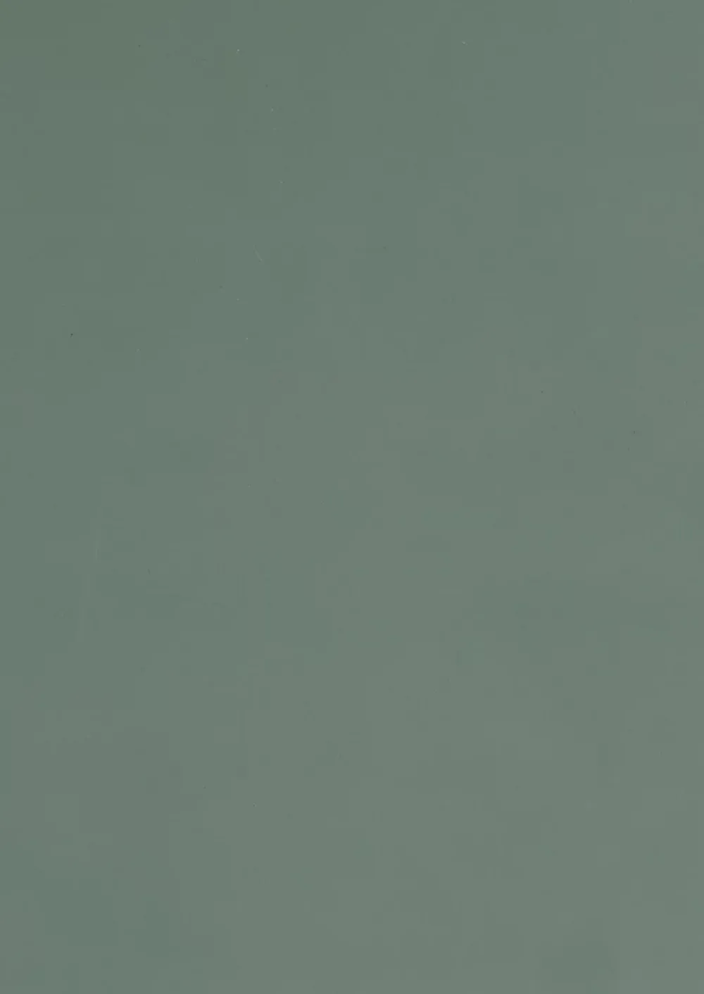 Tablette mélaminée Ninna couleur vert olive 250x50x1.8 Cm- Tablette Bois Et Mélaminé|Panneau Décoratif En Bois