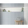 Lux Mosaic Velvet Vison Lisse Série Revêtement grès cérame premium 5x15 cm.- Carrelage Mural Uni|Carrelage Mural Pour Douche