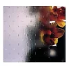 Miroiterie De L'ouest Armorique Verre Maris clair transparent 4mm, le m²- Verre Minéral