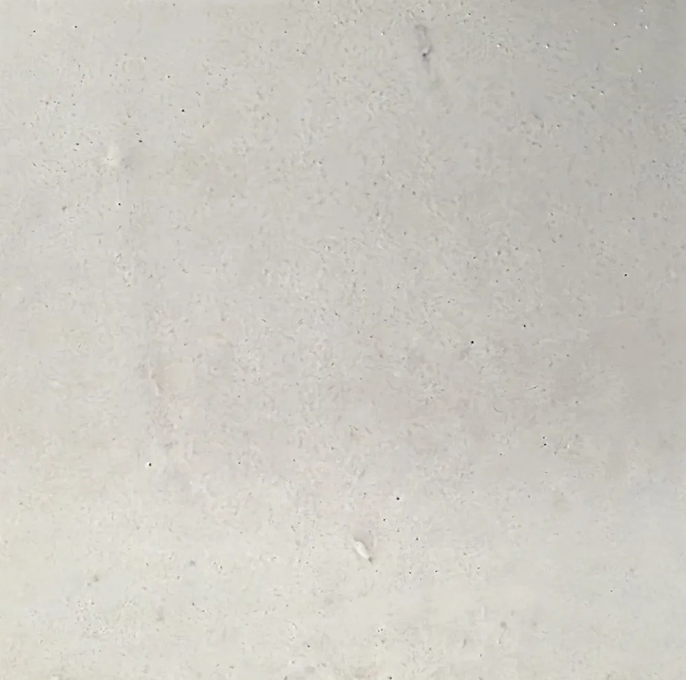 Concept Mosaïque Carrelage Mural Pour Pièce À Vivre<Véritable carreau zellige marocain 10x10 cm BLANC CASSÉ
